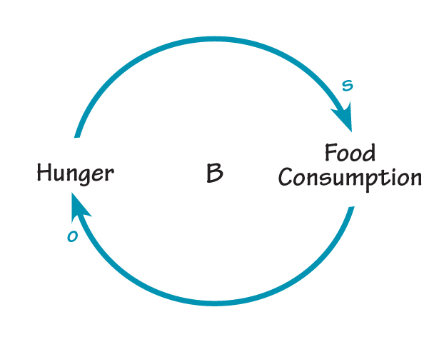 our body sends a signal to our brain that it’s time to eat